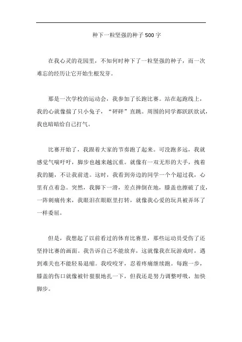 种下一粒坚强的种子500字