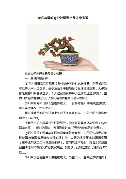 家庭盆景的养护管理要点及注意事项