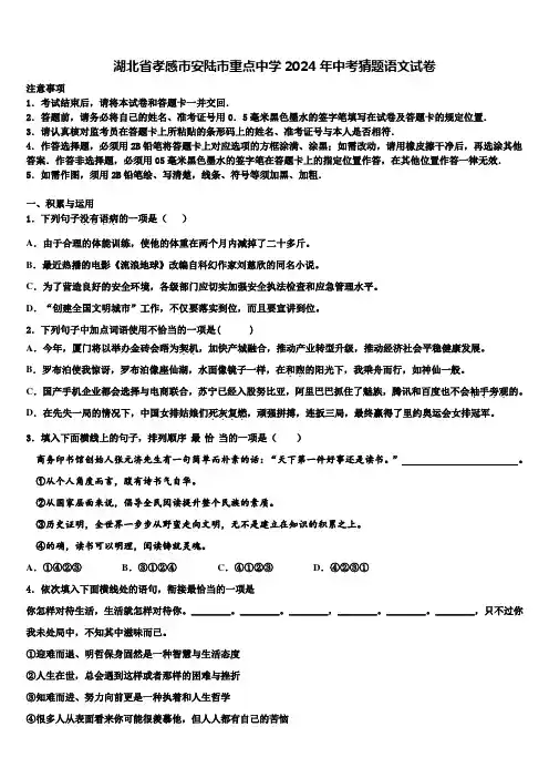湖北省孝感市安陆市重点中学2024年中考猜题语文试卷含解析