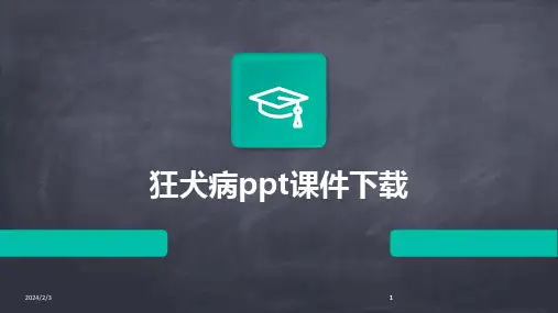 2024版年度狂犬病ppt课件下载