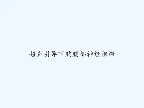 超声引导下胸腹部神经阻滞 PPT