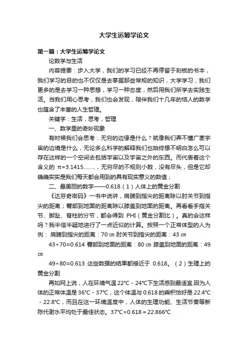 大学生运筹学论文