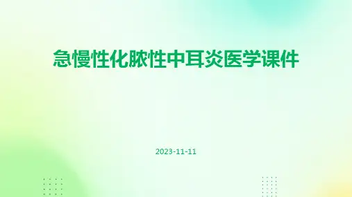 急慢性化脓性中耳炎医学课件