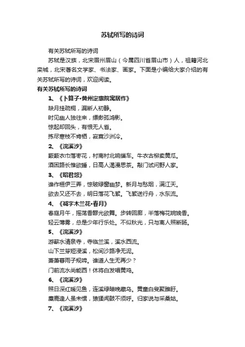 有关苏轼所写的诗词