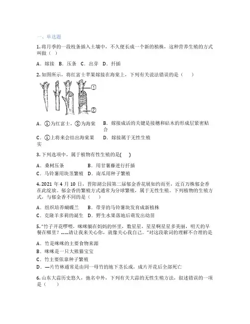 人教版生物 八年级下册 第一节 植物的生殖 课后练习题