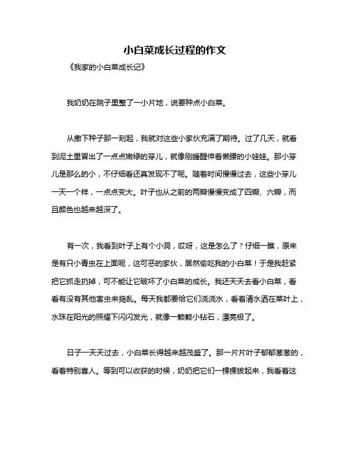 小白菜成长过程的作文
