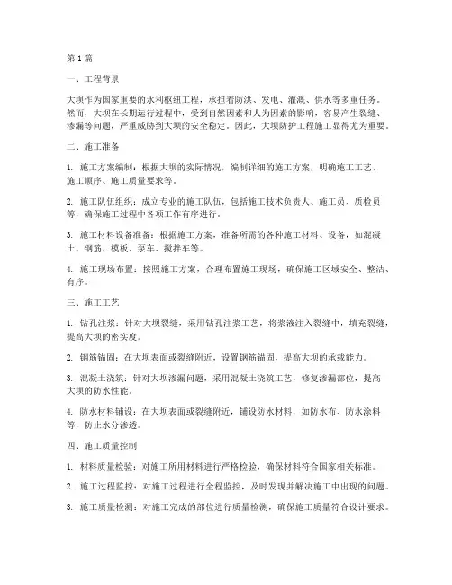 大坝防护工程施工(3篇)
