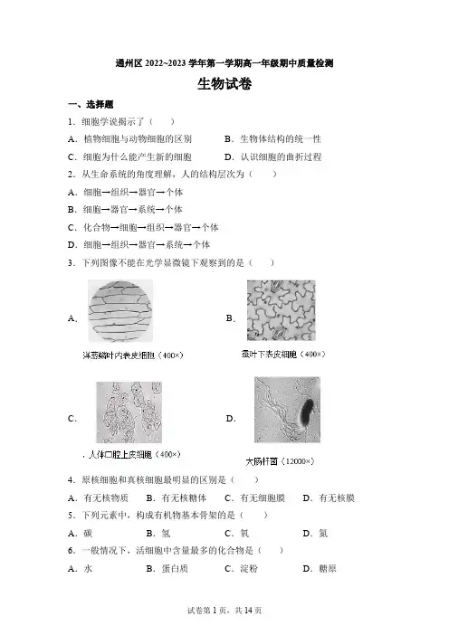 北京市通州区2022-2023学年高一上学期期中生物试题