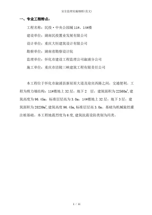 安全监理实施细则(范文)