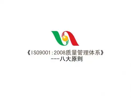 2008ISO9001质量管理体系八大原则