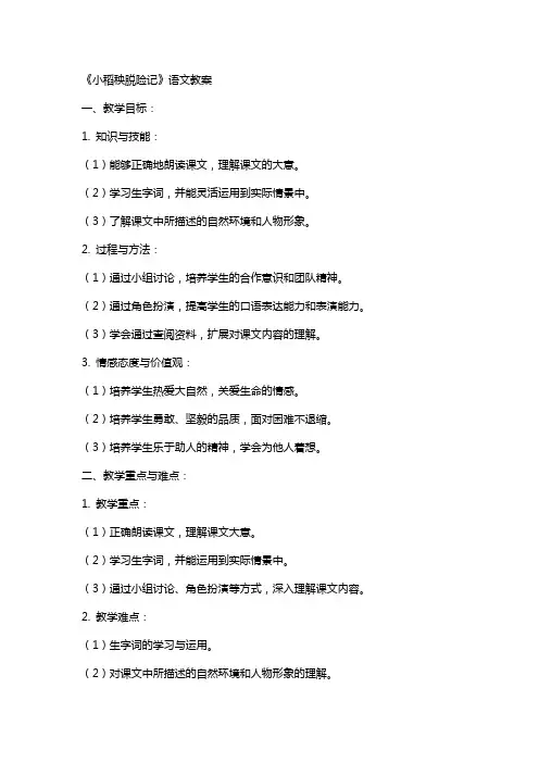《小稻秧脱险记》语文教案