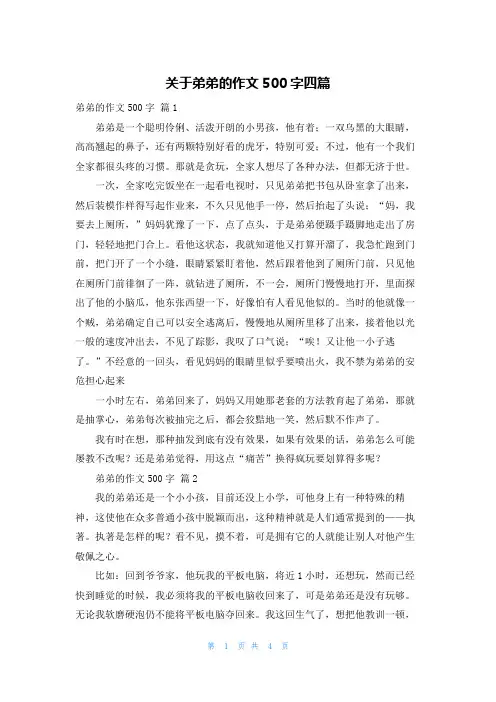 关于弟弟的作文500字四篇