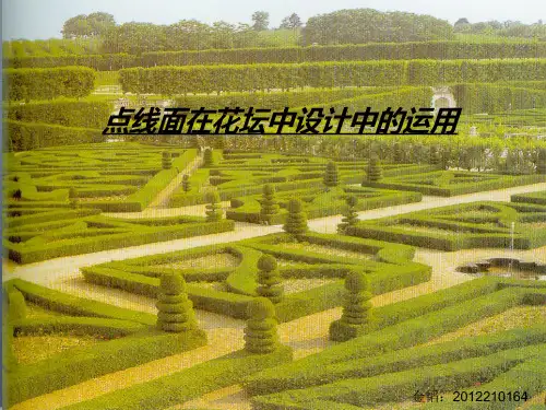 点线面在花坛设计中的运用