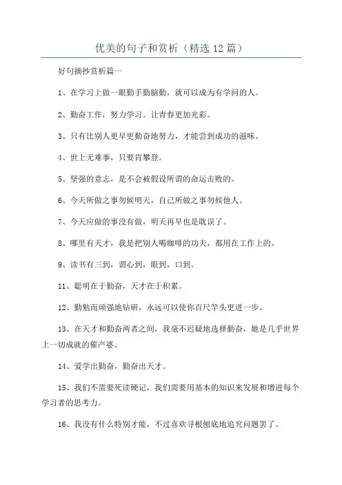 优美的句子和赏析(精选12篇)