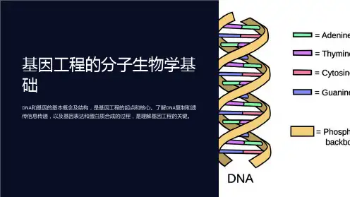 基因工程的分子生物学基础