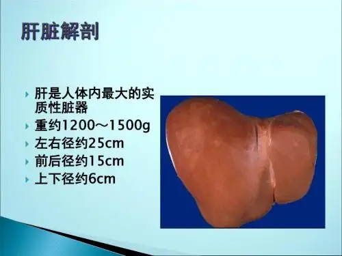 肝脓肿