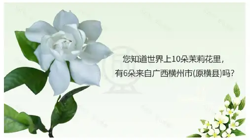 3.1农业区位因素及其变化课件高中地理人教版(2019)必修二