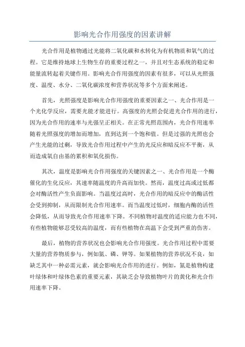 影响光合作用强度的因素讲解