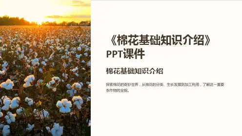 《棉花基础知识介绍》课件
