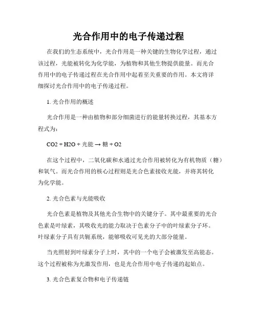 光合作用中的电子传递过程