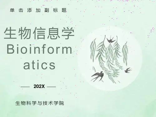 生物信息学第一章生物信息学概述