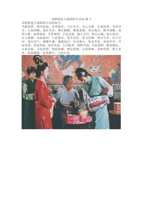 刘姥姥进大观园四字词语20个