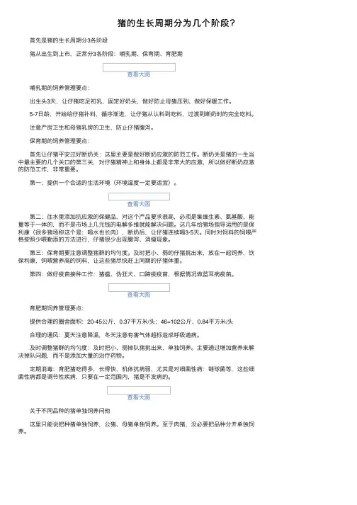 猪的生长周期分为几个阶段？