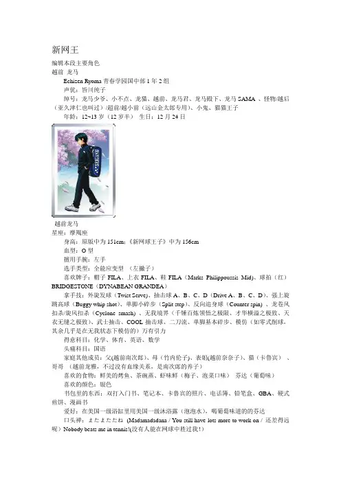 新网王