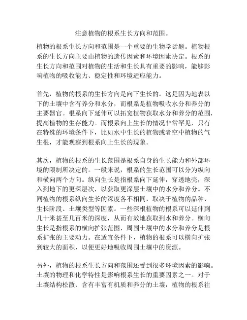 注意植物的根系生长方向和范围。