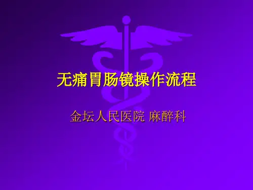 无痛胃肠镜操作流程powerpoint