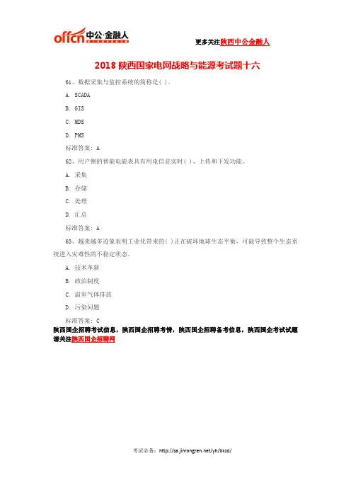 2018陕西国家电网战略与能源考试题十六
