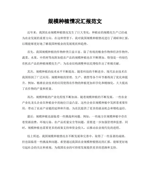 规模种植情况汇报范文