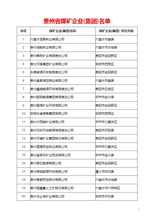 贵州省煤矿企业(集团)名单