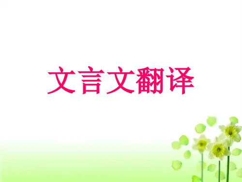 文言文翻译技巧(萧风重组)