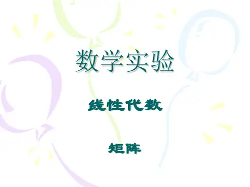 数学实验 矩阵