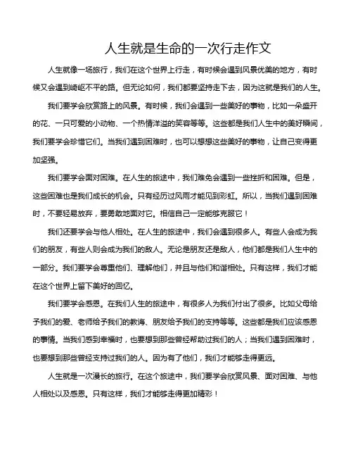 人生就是生命的一次行走作文