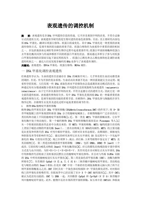 表观遗传的调控机制