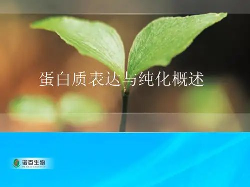 蛋白质表达纯化概述