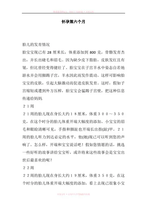 怀孕第六个月