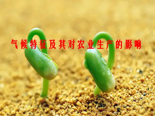 气候对农业生产的影响幻灯片PPT