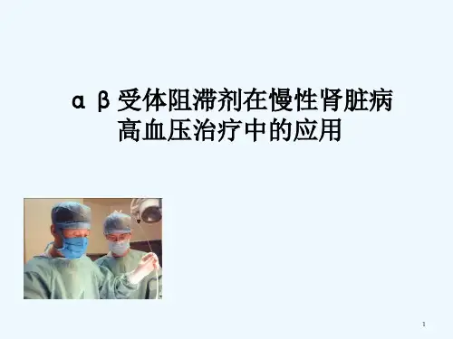 阿尔马尔在肾内科应用