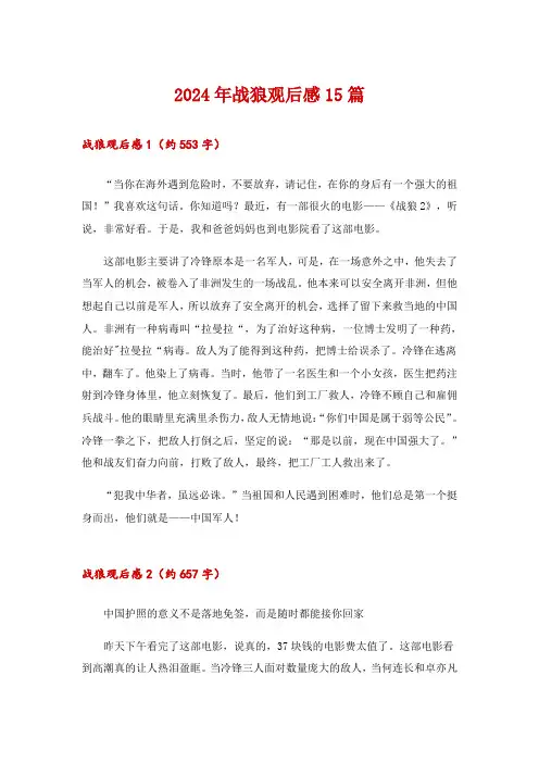 2024年战狼观后感15篇_7