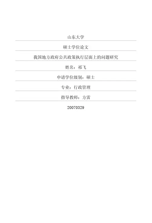 我国地方政府公共政策执行层面上的问题研究