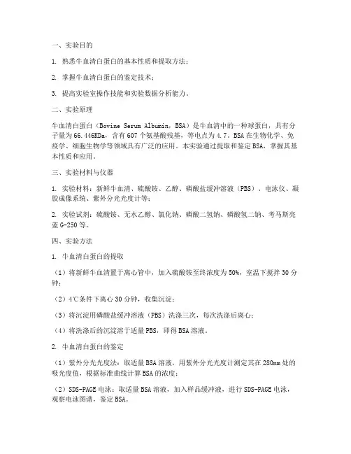 牛血清白蛋白实训报告
