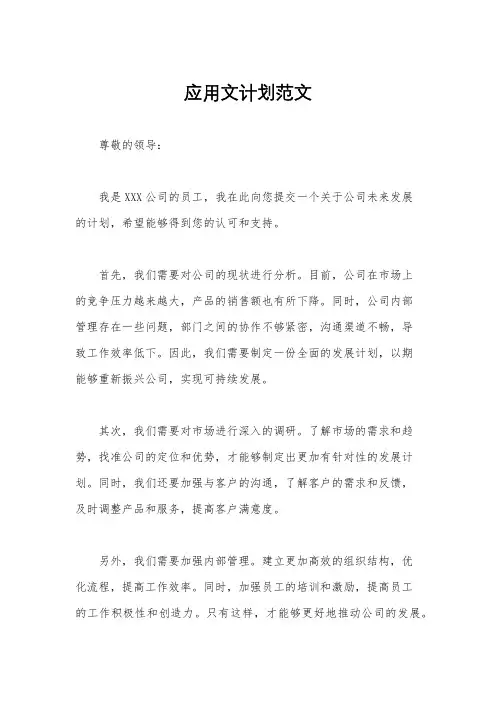 应用文计划范文