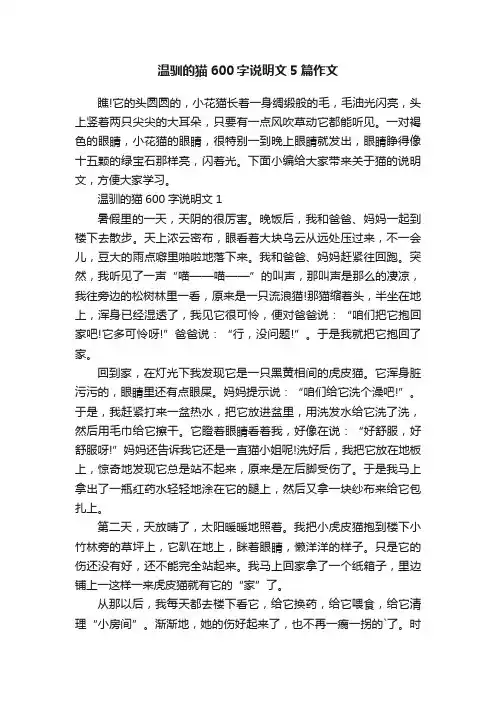 温驯的猫600字说明文5篇作文