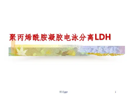 生化实验课件 实验四、聚丙烯酰胺凝胶电泳分离血清ldh