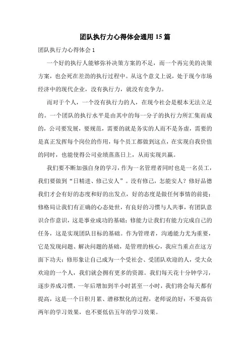 团队执行力心得体会通用15篇