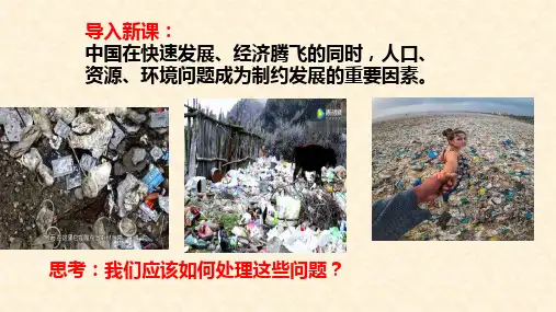 部编教材《正视发展挑战》_公开课PPT1