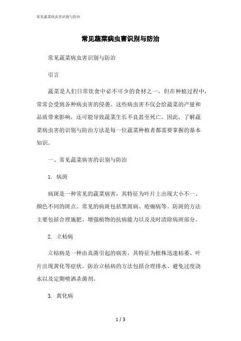 2023修正版常见蔬菜病虫害识别与防治